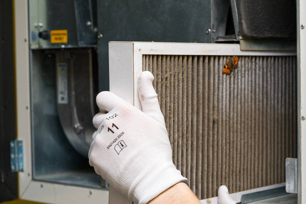 Best Dryer Vent Cleaning Services  in South Bloomfield, OH