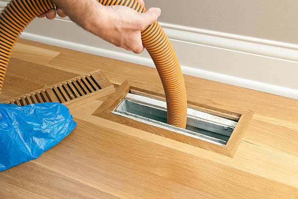 Best Ventilation Cleaning Services  in South Bloomfield, OH