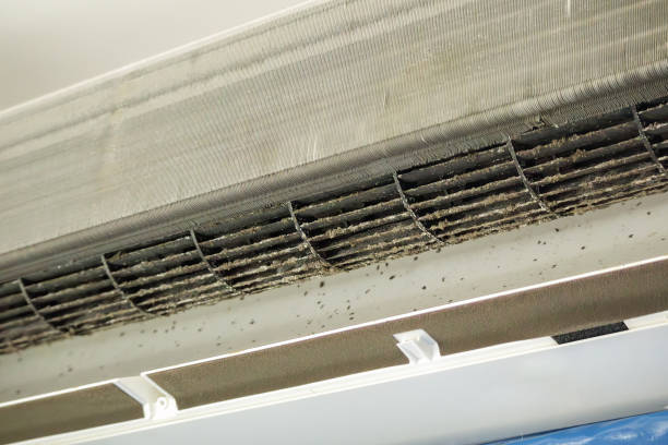 Best Dryer Vent Cleaning Services  in South Bloomfield, OH